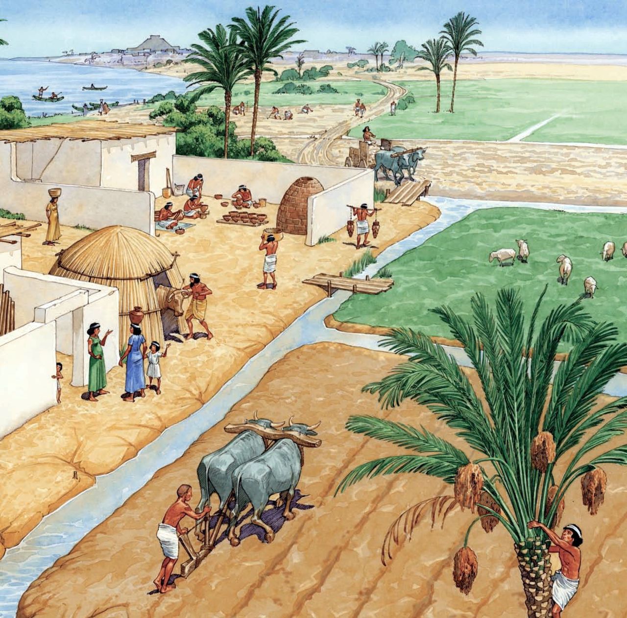 Страны месопотамии в древности. Ирригационное хозяйство древний Египет. Земледелие в древнем Египте. Ирригационное земледелие в древнем Египте.