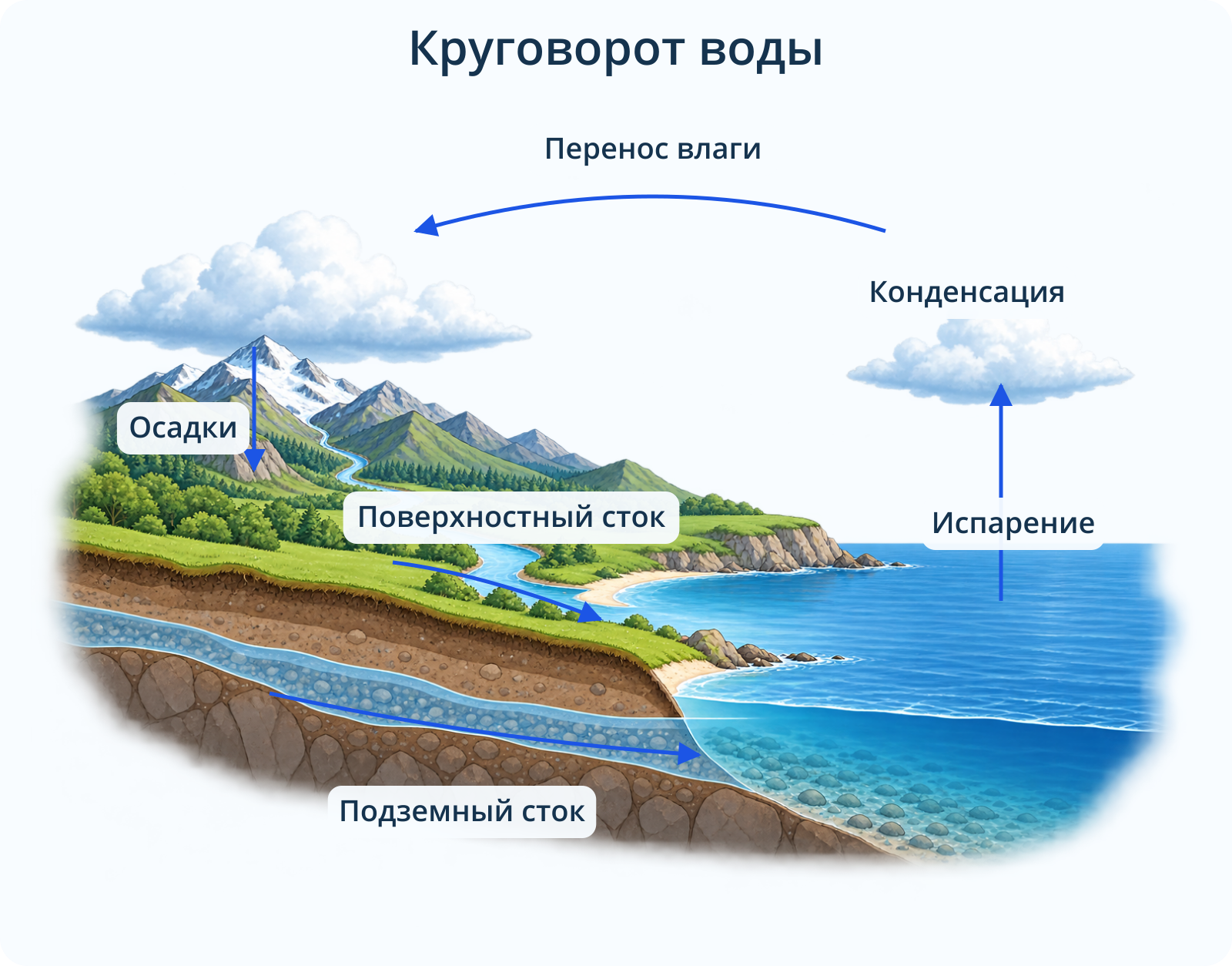 Круговорот воды: испарение с поверхности океана, конденсация и перенос влаги, осадки на суше, поверхностный и подземный сток обратно в океан.